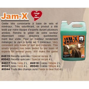 JAM X FRUITS DES CHAMPS OURS 4 L