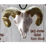 "Skullz" mirror hanger, Ram