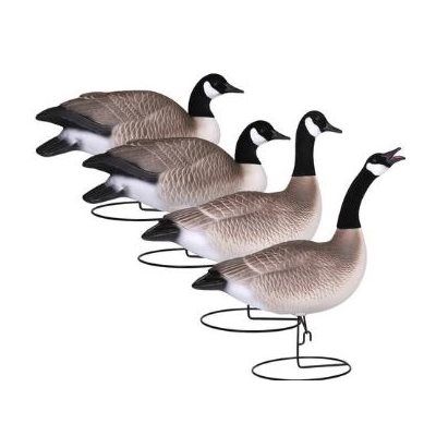 Field-Series FB Canada Goose Active 4 Pack