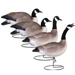 Field-Series FB Canada Goose Active 4 Pack