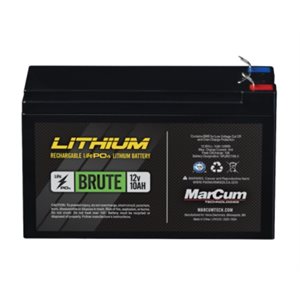 LITHIUM BRUTE BATTERY 12V 10AH LiFePO4 Battery Only
