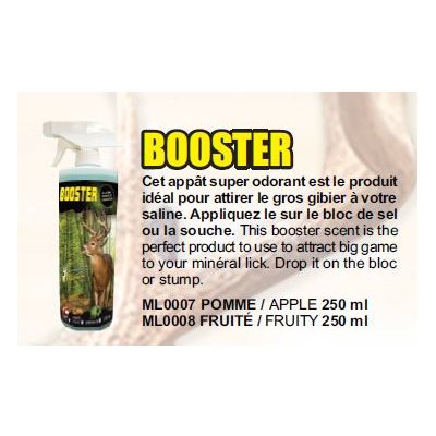 BOOSTER FRUITE 250 ML