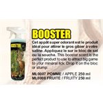 BOOSTER FRUITY 250 ML