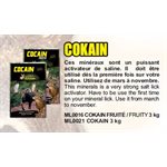 COKAIN AUX FRUITS ORIGNAL / CHEVREUIL 3 KG8PACK
