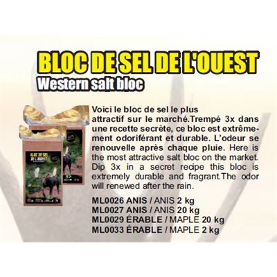 BLOC SEL DE L'OUEST ERABLE 2KG10PACK