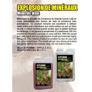 EXPLOSION DE MINERAUX POMME 2 X 1 L6PACK