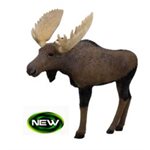 1 / 3 Scale Woodland Moose 36" x31"