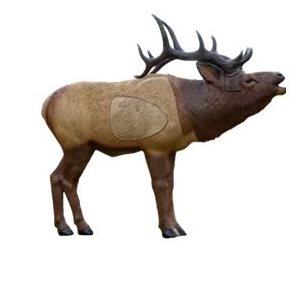 1 / 3 Scale Woodland Elk