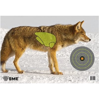 VITAL POINT TARGET COYOTE