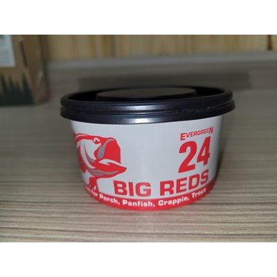 24 Big Reds / Trout Worms