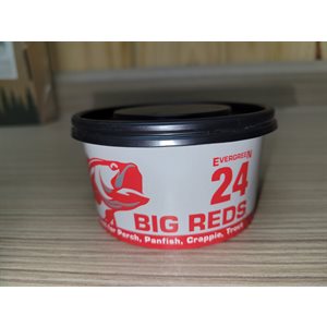 24 Big Reds / Trout Worms