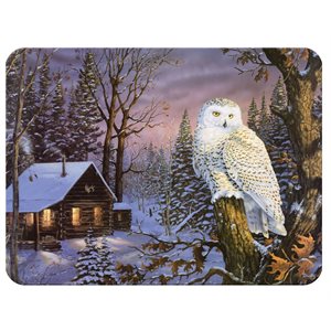 Cutting Board 12in x 16in - White Owl