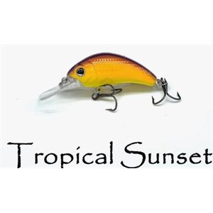 TROPICAL SUNSET- 4 BOOGIE SHAD